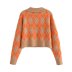 Long-Sleeved Diamond Lattice Knitted Sweater NSXFL103300