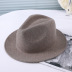 Solid Color Big Brim Jazz Hat NSKJM104134
