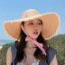 Wide-Brimmed Sunshade Straw Hat NSKJM104151