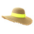Raw Edge Dome Big Brimmed Straw Hat NSDIT104155