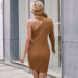 Brown Turtleneck Unilateral Long-Sleeved Knitted Sweater Dress NSYYF104793
