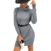 Gray Long-Sleeved Turtleneck Sweater Dress NSYYF105864