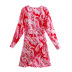 Printed V-Neck Long-Sleeved Dress NSXFL106091