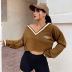 Letter Embroidery V-Neck Loose Cropped Sweatshirt NSXE99212