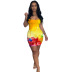 Print Sleeveless Slip Dress NSQMG107439