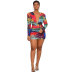 V-Neck Bohemian Style Print Loose Dress NSXHX107629