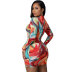 Color Printed Zipper Stitching Hollow Dress NSXHX107635