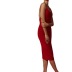 Sling Backless Solid Color Slim Dress NSKFE108016