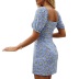 Retro Floral Lace-Up Puff Sleeve Dress NSSCY108951