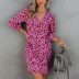 Printing V-Neck Long Sleeves Lace-Up Dress NSKX109218
