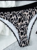 Leopard Print V-Neck High Waist Split Bikini 2 Piece Set NSZO109450