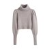 Gray Puff Sleeve Turtleneck Knitted Sweater NSXFL101454