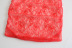 Red Lace Long-Sleeved V-Neck Slim Dress NSLQS101201