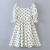 Puff Sleeve Floral Print Pleated Dress NSLQS101271
