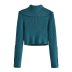 Solid Color Lapel Ribbed Sweater NSBRF101381