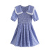 Lace Stitching Doll Collar Plaid Short-Sleeved Dress NSBRF101653