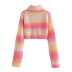 Waffle Knitted Striped Turtleneck Sweater NSLQS101816