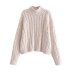 Solid Color Eight-Strand Knitted Sweater NSLQS101818