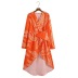 Orange Long-Sleeved V-Neck Printed Silhouette Dress NSXFL101852