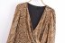 Snake Print Long-Sleeved V-Neck Silk Satin Dress NSXFL101860