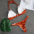 Sexy Metal Pineapple Decorated Bikini 2 Piece Swimsuit NSKLL102274