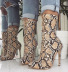 snake print pointed toe boots  NSSO34513