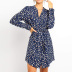 Printed V-neck High Waist Lace Long Sleeve Chiffon Dress  NSGE37777