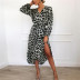 Leopard Print Long Sleeve V-Neck Lace Dress NSGE37782