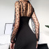 new sexy long sleeve black perspective mesh sleeve dress  NSHZ37921