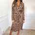 Leopard Print V-neck Long Sleeve Chiffon Dress NSGE35066