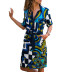 Printed Lace Mid-length Long Sleeve Dress  NSGE35070