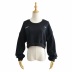 Embroidered Long Sleeve Short Sweatshirt   NSAC38452