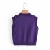 Short Sleeveless Jacquard Knitted Vest NSAM41647