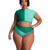 plus size multicolor stitching high waist swimsuit  NSHL43150