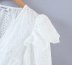 V-Neck Ruffled Embroidered Lace Short Shirt NSAM44212