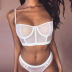 Fashion mesh sheer lingerie set NSWY45233