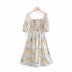 Spring Printed Waist Retro Dress NSAM45458