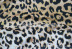 new Leopard Print Bikini  NSOY45941
