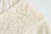 retro lace lapel embroidery neckline shirt  NSAM40168