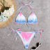 Gradient Deep V Sling Bikini Set NSALS50309