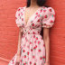 Strawberry Print Deep V Lace Up Pleated Dress NHSUO50443