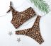 Single Shoulder Strap Leopard Print Seamless Underwear Set NSALS50946