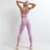 Hot-selling yoga wear running hips seamless quick-drying set NSZJZ54071