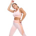 Solid Wide Waistband Sports Leggings NSOUX47907