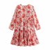 Wholesale Spring Flower Printed Long Sleeve Mini Dress NSAM55753
