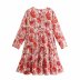 Wholesale Spring Flower Printed Long Sleeve Mini Dress NSAM55753