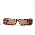 Five-flower frame color small frame with sunglasses NSXU57268