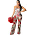 Sexy Wrapped Chest Mesh Printed Jumpsuit NSSJW58842