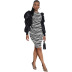 Sexy Leopard Print Round Neck Pullover Mid-Waist Print Slim Skirt Dress NSSJW58889
