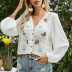 Crochet Knitted Hollow Butterfly Puff Sleeve Long Sleeve Shirt NSSUO59176